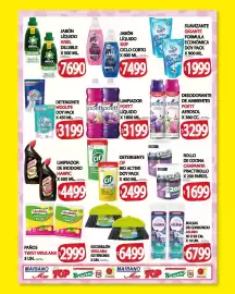 Catálogo Supermercados Caracol Página 6: Poett limpiador liquido €3.199,00, Woolite detergente €3.199,00