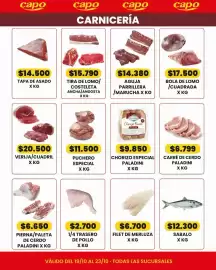 Catálogo Autoservicio Capo Página 1: Aguja parrillera / marucha €14.380,00, Paladini chorizo especial €9.850,00