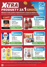 Kaufland gazetka tydzień 43 Strona 17
