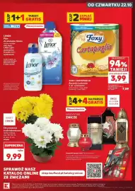 Kaufland gazetka tydzień 43 Strona 3: FOXY CARTAPAGLIA €3,99, Chryzantema średniokwiatowa €9,99