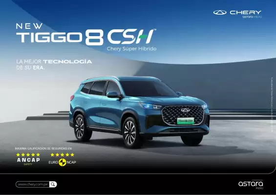 Chery (válido hasta 4-11)