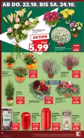Kaufland DE tilbudsavis uge 43 Side 46