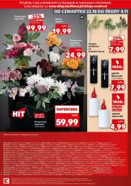 Kaufland gazetka Strona 17