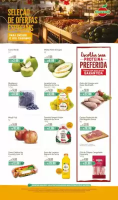 Hortifruti (válido até 22-10)