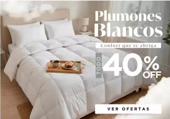 Dib Alfombras (válido hasta 5-11)