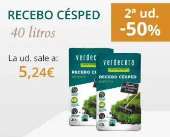 Catálogo Verdecora Página 1: Rebeco cesped €5,24