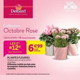 Catalogue Delbard page 2