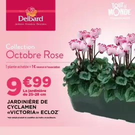 Catalogue Delbard page 1