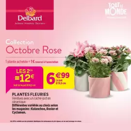 Catalogue Delbard page 2
