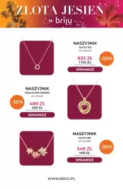 Briju gazetka Strona 4: Naszyjnik złoto 333 KO-002427 Briju €833,00, Naszyjnik pozłacane srebro KO-002491 Briju €489,00