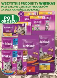 Dino gazetka tydzień 43 Strona 78