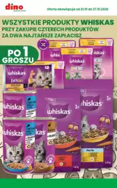 Dino gazetka tydzień 43 Strona 5