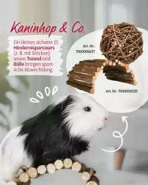 Das Futterhaus Prospekt Seite 4