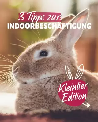 Das Futterhaus (gültig bis 28-10)