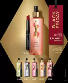 Catálogo L'Bel Página 99: Set destince stm goods €14.990,00