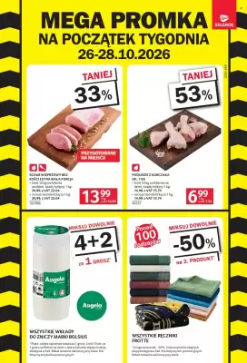 Selgros (ważność do 4-11)