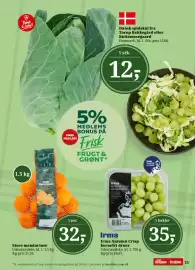 Dagli'Brugsen tilbudsavis Side 13: Store mandariner €32,00, Irma Autumn Crisp kernefri druer €35,00
