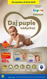 Lidl gazetka tydzień 43 Strona 100