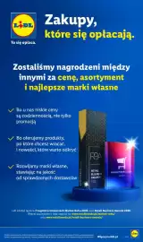 Lidl gazetka tydzień 43 Strona 101