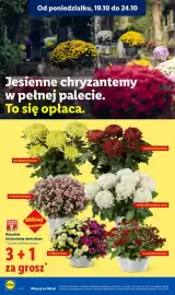 Lidl gazetka tydzień 43 Strona 102