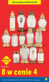 Lidl gazetka tydzień 43 Strona 13