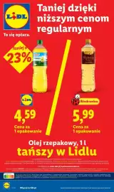 Lidl gazetka tydzień 43 Strona 22