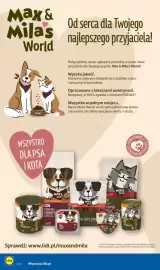 Lidl gazetka tydzień 43 Strona 38