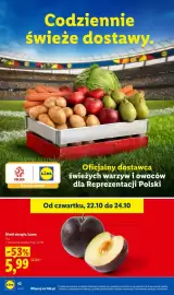 Lidl gazetka tydzień 43 Strona 44: Śliwki okrągłe €5,99