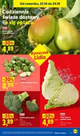 Lidl gazetka tydzień 43 Strona 47: Kapusta stożkowa polska €4,89, Brukselka polska €8,99