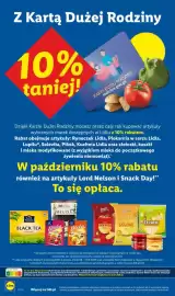 Lidl gazetka tydzień 43 Strona 84
