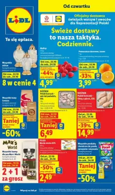 Lidl (ważność do 28-10)