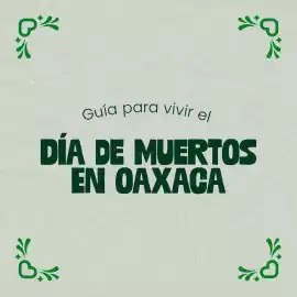 Catálogo VivaAerobus Página 1