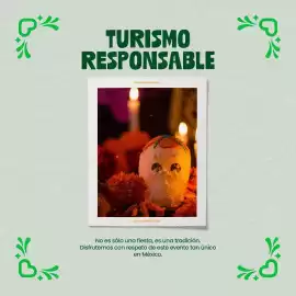 Catálogo VivaAerobus Página 3