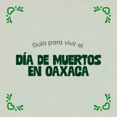 VivaAerobus (válido hasta 21-10)