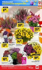 Polomarket gazetka tydzień 43 Strona 13