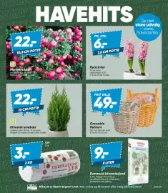 Bilka tilbudsavis uge 43 Side 7: Grenoble fletkurv €49,00, Kinesisk enebær €22,00