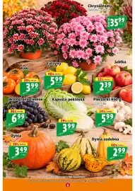 Prim Market gazetka tydzień 43 Strona 6: Dynia ozdobna €2,99, Kaki €3,99