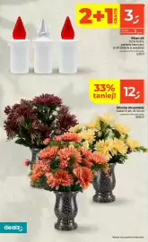 Dealz gazetka tydzień 43 Strona 58: Wkład led €3,00, Sztuczne chryzantemy €12,00