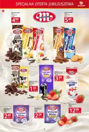 Selgros gazetka Strona 3