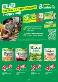 Selgros gazetka Strona 17