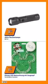 Action Flugblatt woche 43 Seite 11