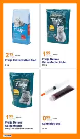 Action Flugblatt woche 43 Seite 27