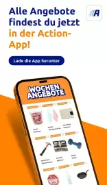 Action Flugblatt woche 43 Seite 33