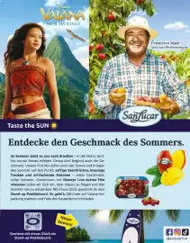 Sutterlüty Flugblatt Seite 95