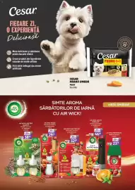 Catalog Auchan Pagină 30: Air Wick electric kit €32,68, Air Wick reeds €29,24