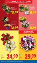 Catalog Lidl săptămâna 44 Pagină 39: Buchet de lalale €24,99, Aranjament floral Crizantema / Celosia €34,99