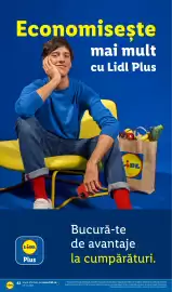 Catalog Lidl săptămâna 44 Pagină 42