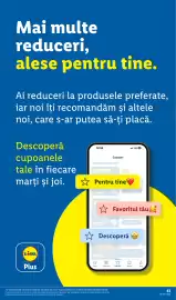 Catalog Lidl săptămâna 44 Pagină 43