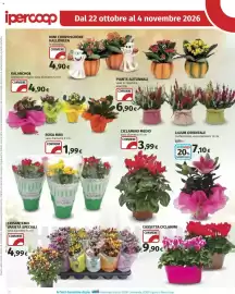 Volantino Ipercoop Pagina 28: Lilium orientale €7,10, Ciclamino medio €3,99