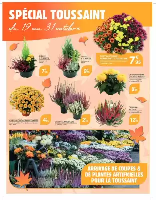Catalogue Point Vert (valable jusqu'au 31-10)